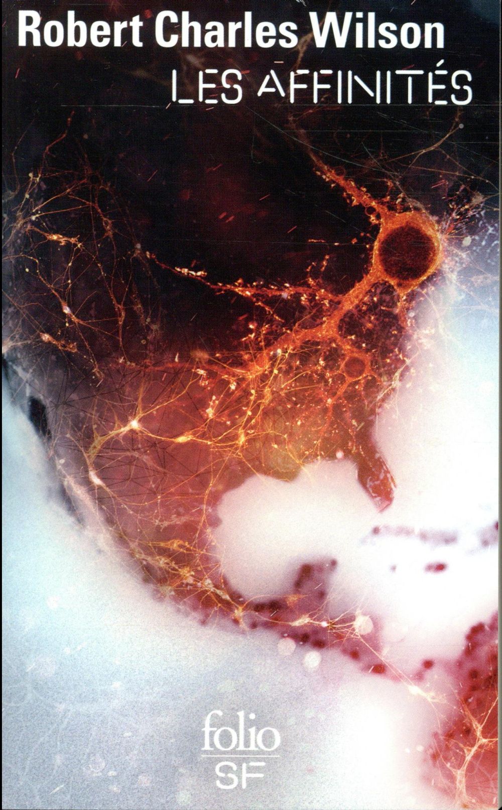 Les affinités, de Robert Charles&nbsp;Wilson